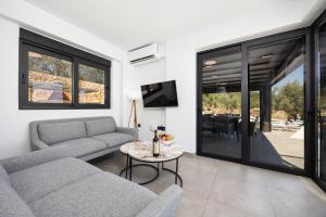 a living room with two couches and a tv at Villa Andria in Apolpaina