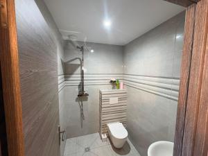 a bathroom with a toilet and a sink at Prince in Perrigny-lès-Dijon