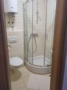 ein Badezimmer mit Dusche und Toilette in der Unterkunft View - Novalja in Novalja