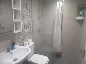 a bathroom with a shower and a toilet and a sink at Studio en rez-de-chaussée in Hammamet +15 photos