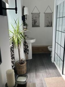 a bathroom with a sink and a toilet and a plant at Stone Cottage Relax & Unwind, Cosy Cinema Retreat in Laurencekirk +30 photos