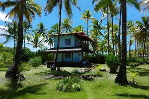 a small house in the middle of palm trees at Casa Capela - Para quem ama ficar na beira do mar in Marau +45 photos