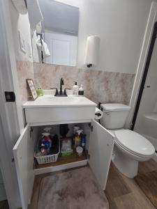 a bathroom with a sink and a toilet at Ope suites Winnipeg in Winnipeg +47 photos