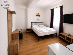 ein Schlafzimmer mit einem Bett und einem Fernseher in der Unterkunft Hotel Liliacul in Cluj-Napoca + 53 Fotos