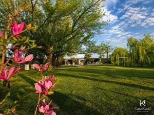 a field of grass with a tree and pink flowers at CasaKadd Grand Escape in Civé