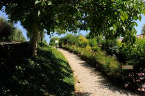 Zahrada ubytování Agriturismo Le Ginestre