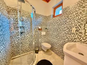 a bathroom with a shower and a toilet and a sink at Lavanda Vendégház in Németkér +19 photos