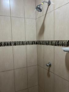 a shower with a shower head in a bathroom at Hotel Danmar in Ventanas