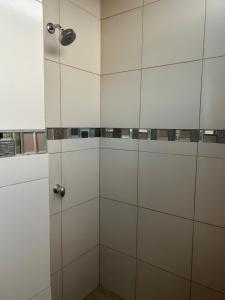 a shower with a glass door with a shower head at Hotel Danmar in Ventanas