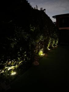 a row of plants with lights at night at Villetta faustina in Albairate