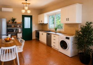 a kitchen with a washer and dryer in it at Porto Vigla in Tranakatika