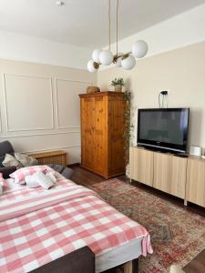 a living room with a bed and a flat screen tv at Little Paradise - charming apartment in Labin
