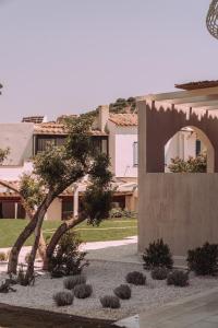 a tree in a garden in front of a building at Appartamenti I Lentischi in Villasimius