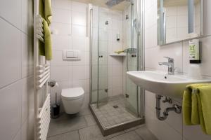 a bathroom with a sink and a toilet and a shower at Grüner Hof in Zell am Harmersbach