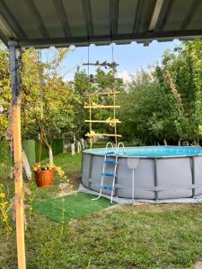 a swimming pool in a yard with a ladder next to it at Villa Viva Jama in Novi Sad