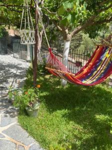 a hammock hanging from a tree in a yard at Olgas-Village-house in Cheimadión