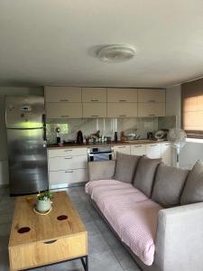a living room with a couch and a table at Olgas-Village-house in Cheimadión