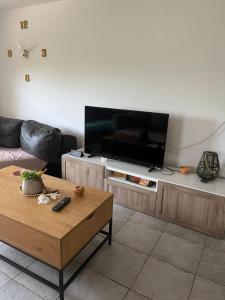 a living room with a large flat screen tv at Olgas-Village-house in Cheimadión
