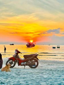 a motorcycle parked on the beach with a dog at N&N Family in Ngân Hà