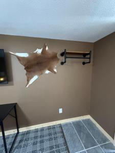 a fish fossil on the wall of a room at Suite 102 in Lusk
