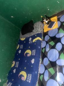 a dog laying on a bed in the water at Least desirable room in Rwamagana