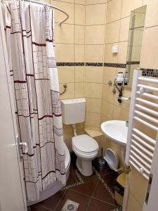 a bathroom with a toilet and a sink at Apartmani Erdeljanov in Soko Banja +23 photos
