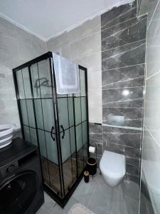 a bathroom with a shower and a toilet in it at Rain Suite in Istanbul