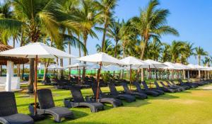 a row of chairs with umbrellas and palm trees at Nice AptPoolBeach ClubParkingGymACBarraVieja in Barra Vieja