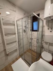 a bathroom with a shower and a toilet at The Central Passage in Gornji Milanovac +27 photos