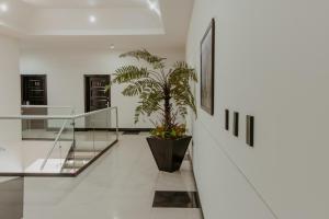 a hallway with a staircase and a potted plant at Hotel sierra palace in Cuauhtémoc