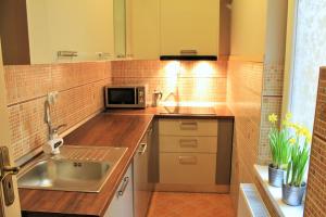 Kuchyň nebo kuchyňský kout v ubytování Lidi Guesthouse
