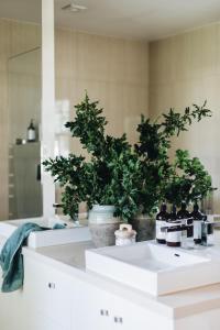 a bathroom with two sinks with potted plants on it at Chatsworth Tasmania in Longford +52 photos