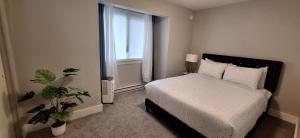 a bedroom with a bed and a window and a plant at Happy Zone Suite With AC- Sleeps 4 - Welcome Snacks & Drinks ! in Langford