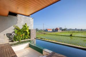 a house with a swimming pool with a view of a rice field at Duality Villas in Ubud