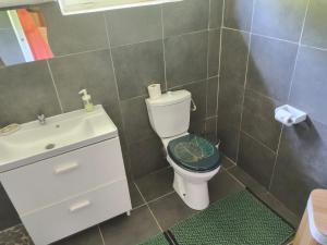 a bathroom with a white toilet and a sink at Terakota lodge in Deshaies +5 photos