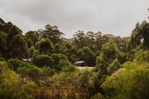 a van driving down a road through a forest at Wandagar Eco Tent - Baudin in Pemberton
