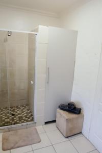 a bathroom with a shower and a box in it at Fynbos cottage in Bethlehem +7 photos