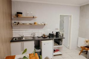a kitchen with a sink and a counter at Fynbos cottage in Bethlehem