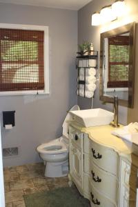 a bathroom with a toilet and a sink and a mirror at The Audobon Escape in Aiken +15 photos