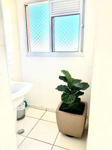 a bathroom with a potted plant and a window at Lumar Apart Boituva Diária 24H in Boituva