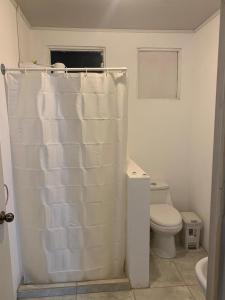 a bathroom with a toilet and a shower curtain at Zenora Suites in San José +3 photos