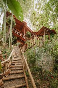 a wooden staircase leading to a house in the woods at Mantoverde in Dosquebradas