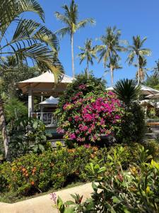 a garden of flowers with palm trees in the background at Gili Tenda in Gili Trawangan