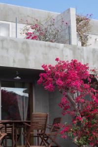 ein Baum mit rosa Blüten vor einem Gebäude in der Unterkunft mrsbutt inn in Aka