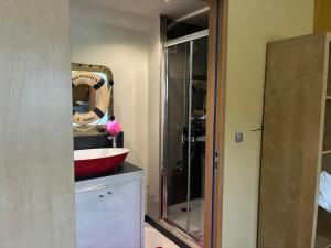a bathroom with a red sink and a shower at Peniche Casa Luze in Issy-les-Moulineaux +9 photos