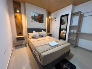 a bedroom with a bed and a mirror in it at Hotel del Parque Arauca in Arauca
