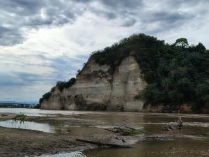 a large rock formation with trees on a beach at Aparta Studio Las Palmas in La Dorada