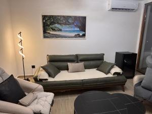 a living room with a couch with pillows on it at Maginja house in Milojci