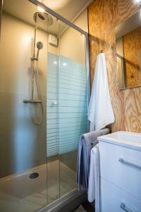 a bathroom with a glass shower and a sink at Modulbois studio castelnau in Castelnau-de-Médoc