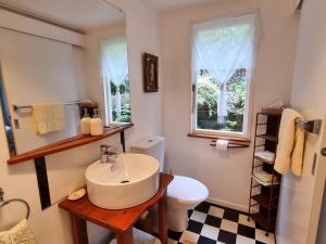 a bathroom with a sink and a toilet and a window at Coromandel Eco Sanctuary in Coromandel Town +26 photos